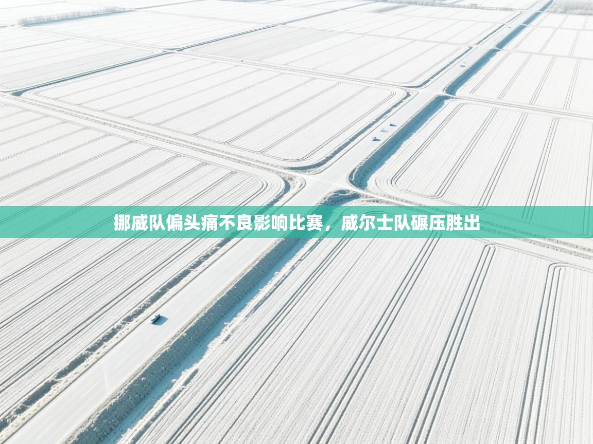 挪威队偏头痛不良影响比赛，威尔士队碾压胜出